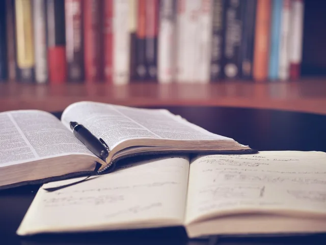 open book, library, education, read, book, school, literature, study, knowledge, text, information, reading, studying, library, education, education, book, book, book, school, school, study, study, study, study, study, reading, studying. Ressourcenberichte auf Entscheidungsnutzen prüfen